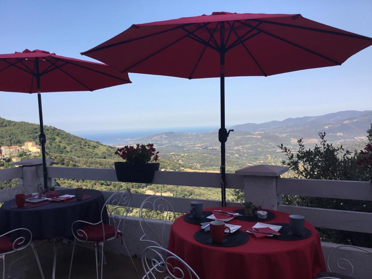Bed and Breakfast U Riposu Di A Cupulatta Sollacaro Zewnętrze zdjęcie